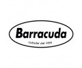 Barracuda