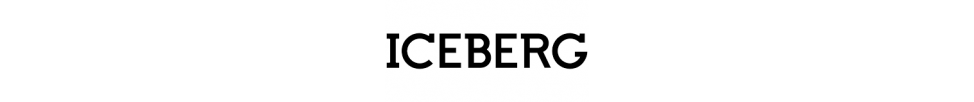 Iceberg